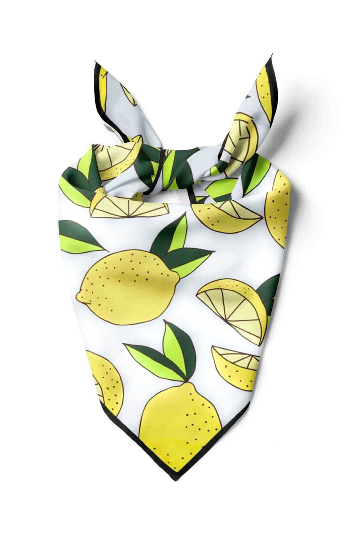 Violla Bandana for Women 22