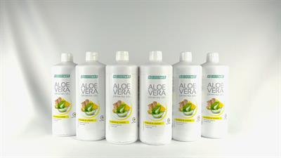 6'lı Zencefilli İçecek