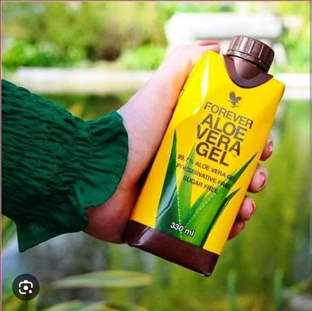 agave chazaroi Agave chazaroi main image 1