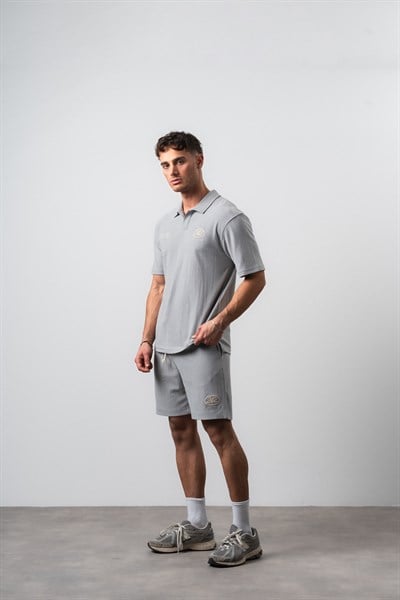 Erkek 242 Nakışlı Regular Fit T-Shirt Şort Takım Gri