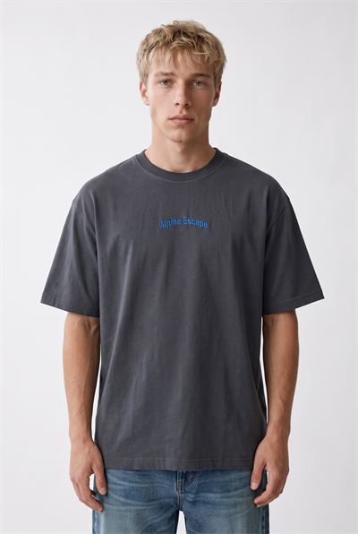 Erkek Alpine Nakışlı Oversize T-Shirt Füme