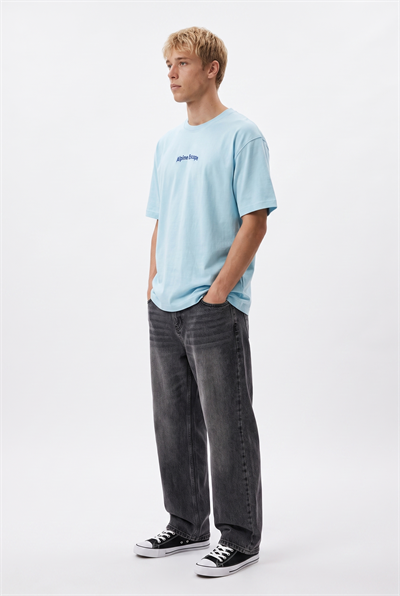 Erkek Alpine Nakışlı Oversize T-Shirt Bebe Mavi