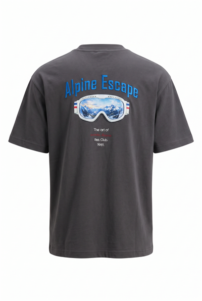 Erkek Alpine Nakışlı Oversize T-Shirt Füme