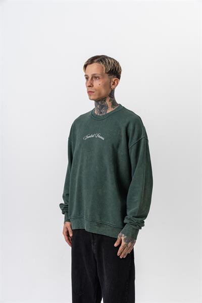 Erkek Divided Baskılı Yıkamalı Bisiklet Yaka Oversize Sweatshirt Yeşil