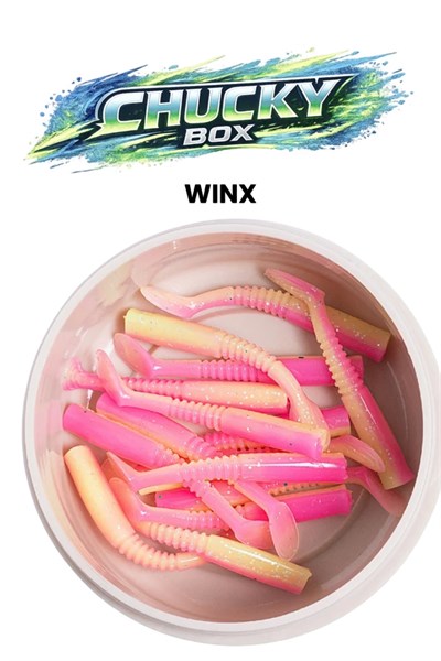 Pandora Chucky Winx  Box