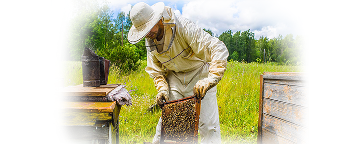 Arıcılık Malzemeleri