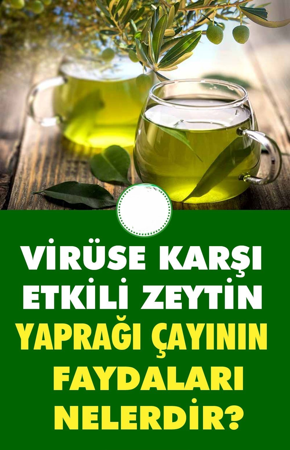 Zeytin Agaci Yaprak Cayi