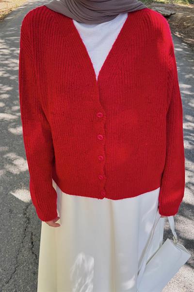 Crop V Yaka Hırka Nar Çiçeği