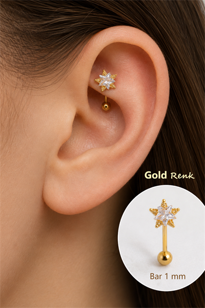 Zirkon Taşlı Yıldız Rook Piercing Çelik Bar 1 mm