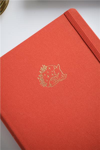 Kişiye Özel Gizli Spiralli Kiremit Canvas Defter