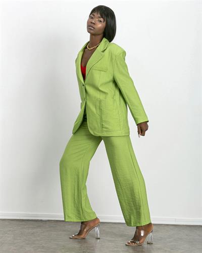Blazer Ceket ve Pantolon Takım Yeşil Renk