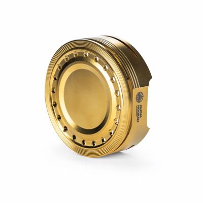 ALPHA FNX Gold