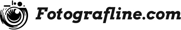 site logo