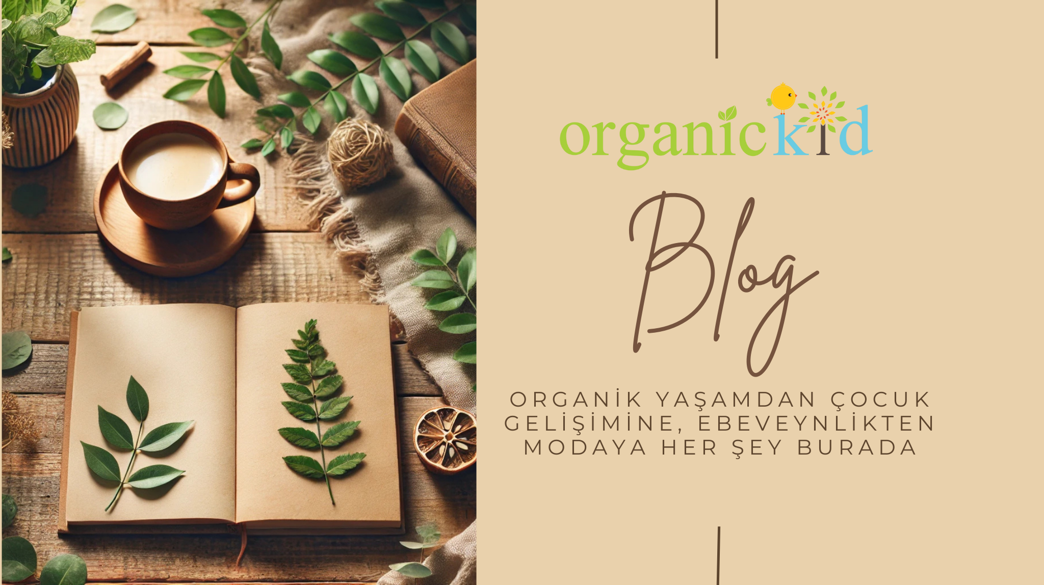 MEYVE SALATALI MAMA TARİFİ