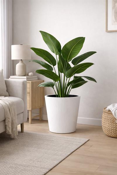 Alezy Luna Model Modern Saksı 29 lt (36.8cmx36.4cm)
