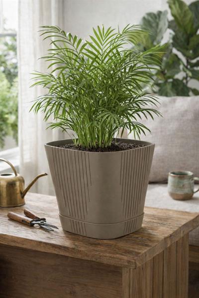 Serinova ZB04 Tabaklı Zambak Saksı 5,6 lt