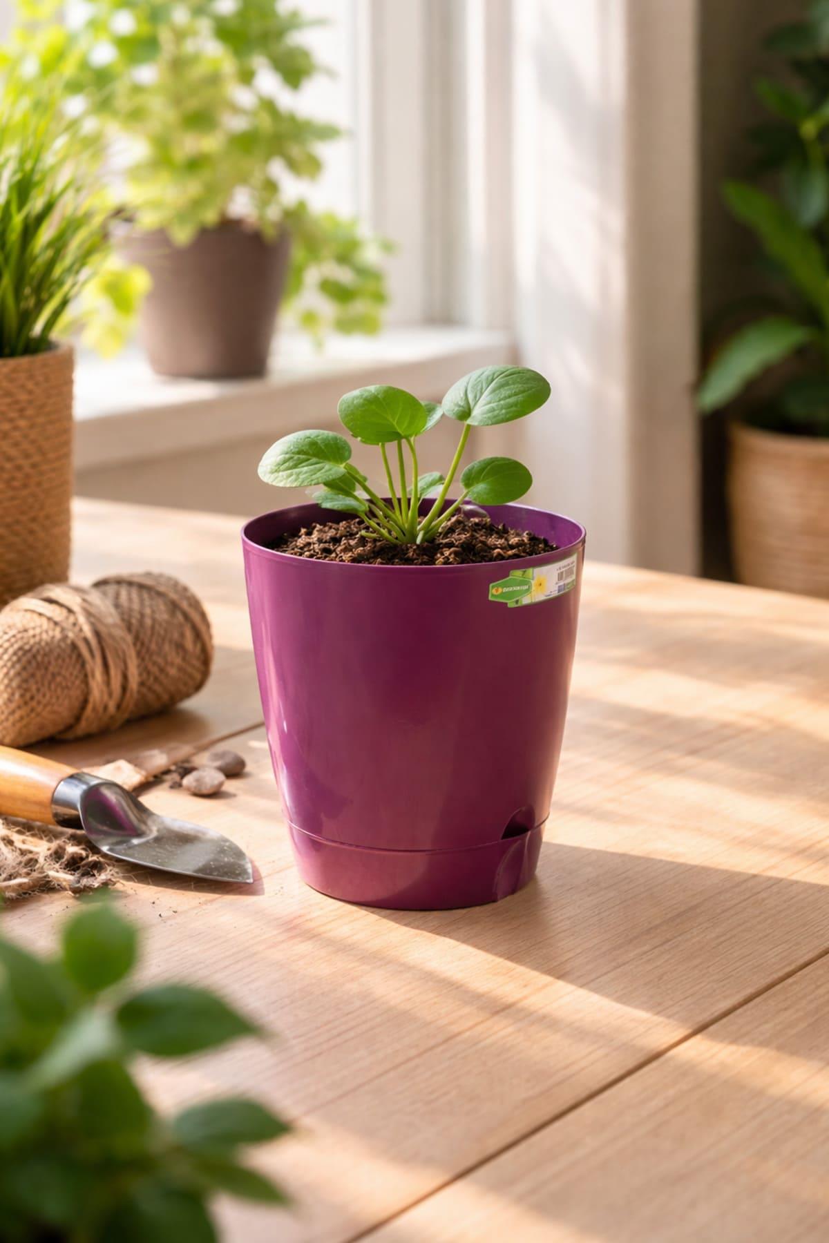 Alezy 5410 Decora Saksı No:2 - 1.5 Litre | ID1392