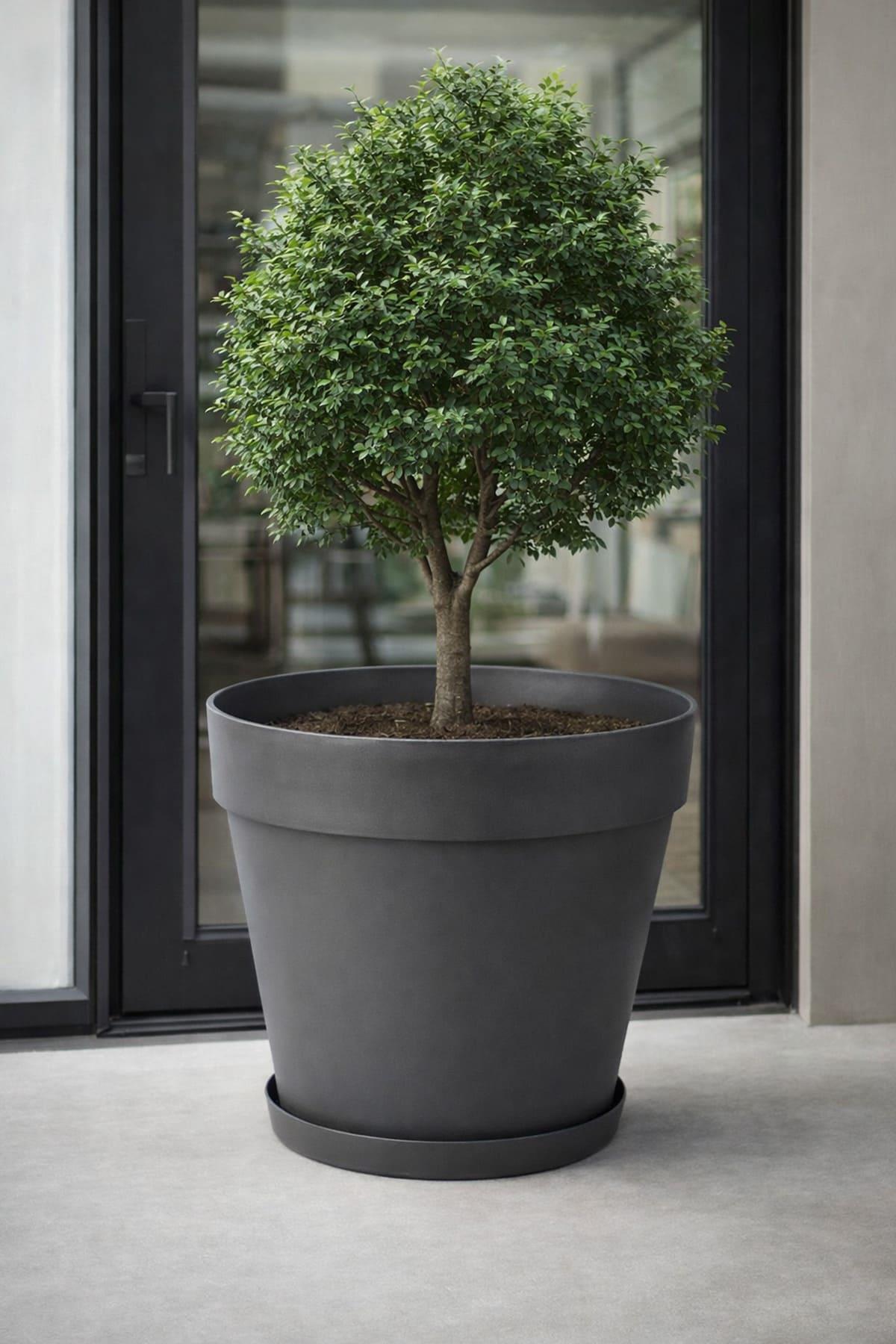 Serinova YS06 Yalı Saksı 23 Litre | ID1368