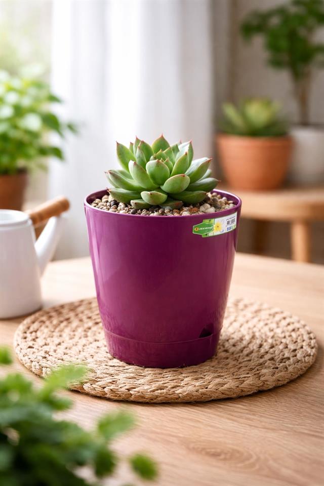 Alezy 5405 Decora Saksı No:1 - 0.8 Litre | ID1393