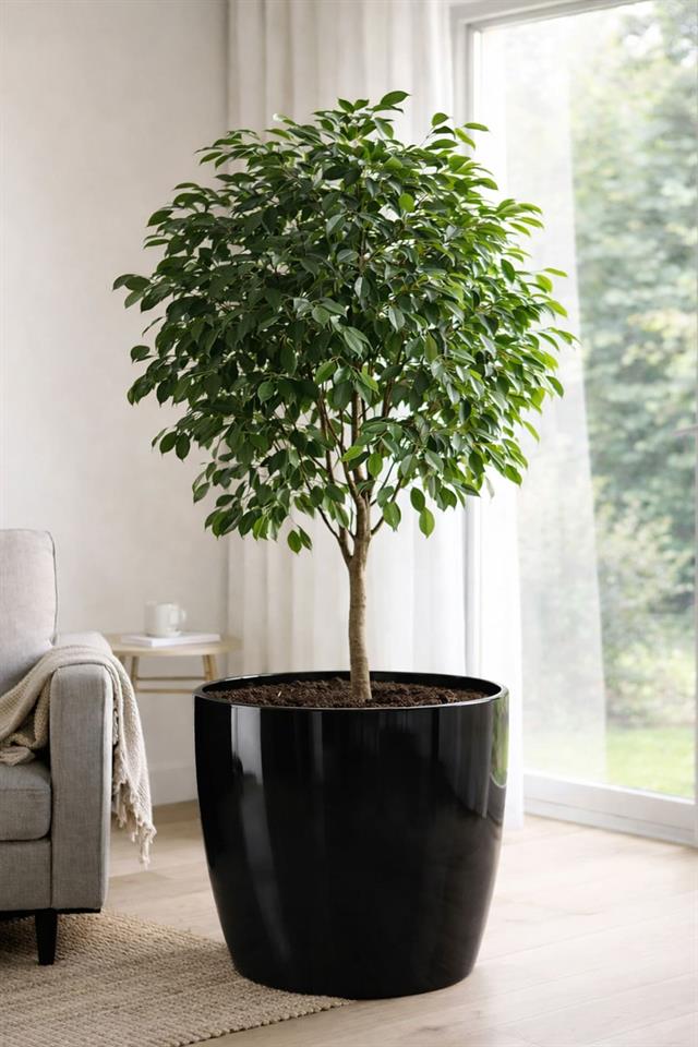Serinova YK07 Yakut Saksı Dış Kabı 66 Litre No:07 | ID2855
