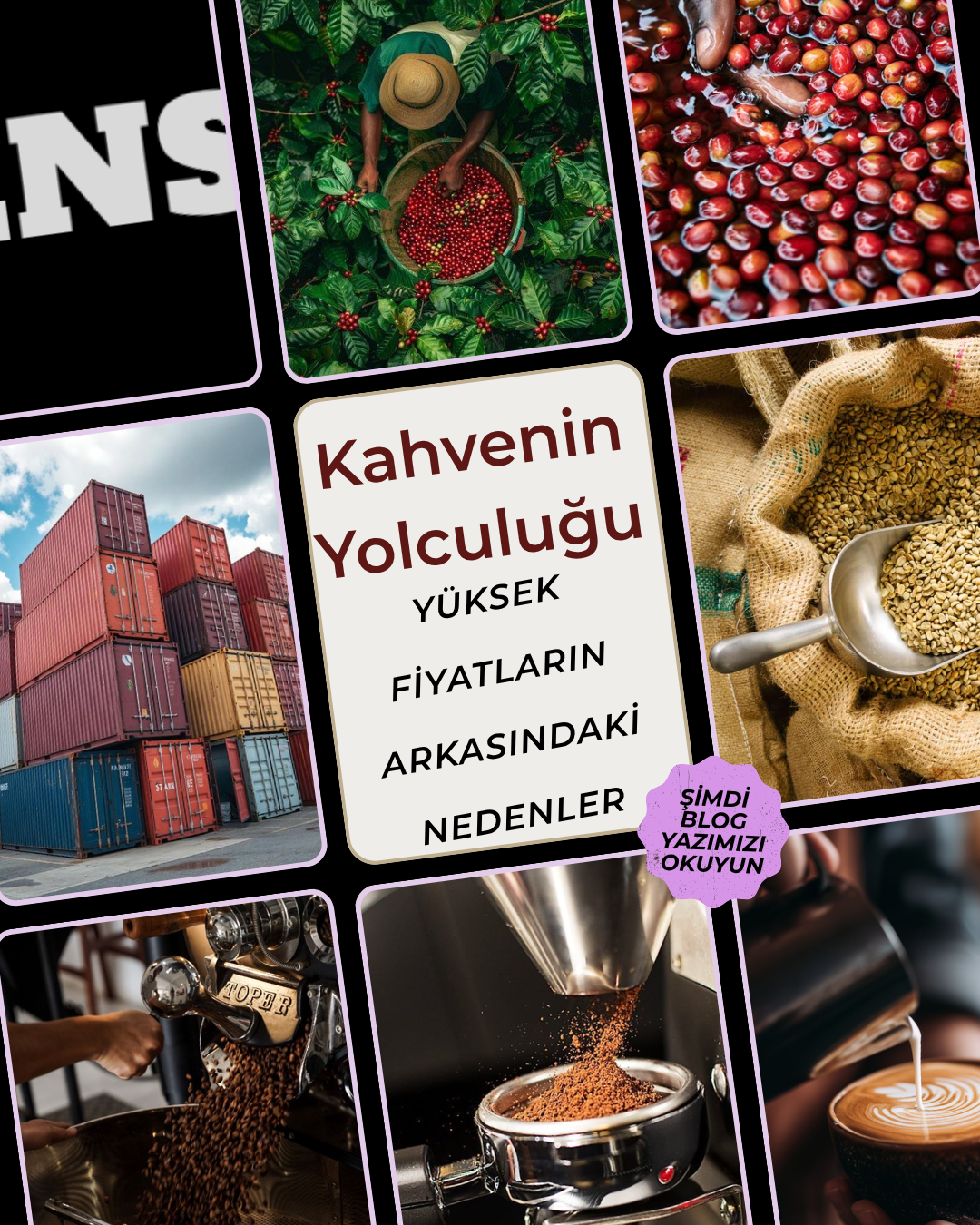 Çekirdek Kahve Fiyatları: Neden Bu Kadar Pahalı?