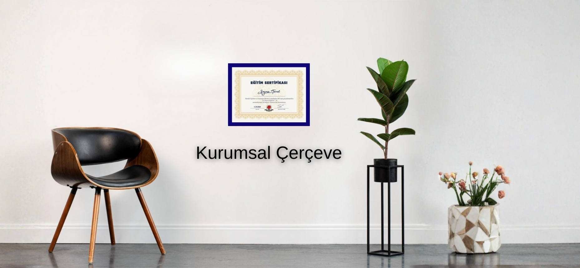 Kurumsal Çerçeve