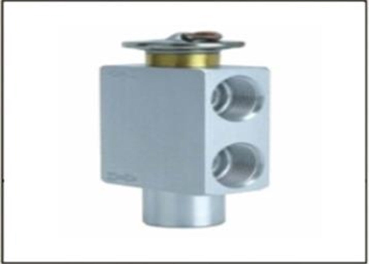 Expansion Valf Renault Vw Passat Jetta Pasolu Vw Passat Jetta Seat Toledo Cıtroen