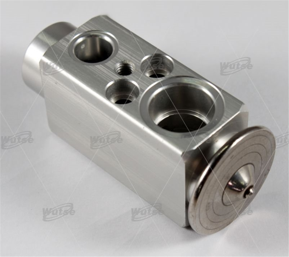WUTSE42051057-Expansion Valf