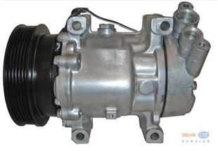 Klima Kompresörü 6PK Renault Clio Kango Megane Küçük Delik Dar Delik 14mm Büyük Delik 20mm -8200866443 Tek Fişli Kompresör | DELPHI 0159277