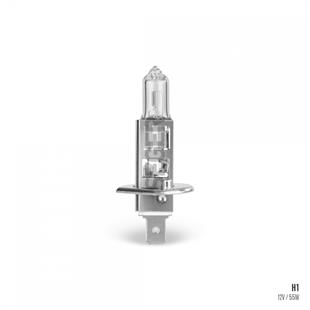 Ampul 12v 55w H1 | Seger 205771