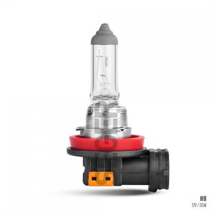 Ampul 12v 35w/h8 | Seger 206938