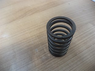Subap Supap Yayı Fiat-new Holland :trm 480-640 Subap Yayı Ym** 4689554 | Nh 4689554