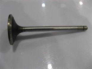 Subap Supap Emme Std Fiat-new Holland :trm Tt55 Subap Emme Std Turbo 84319390 | Nh 84319390