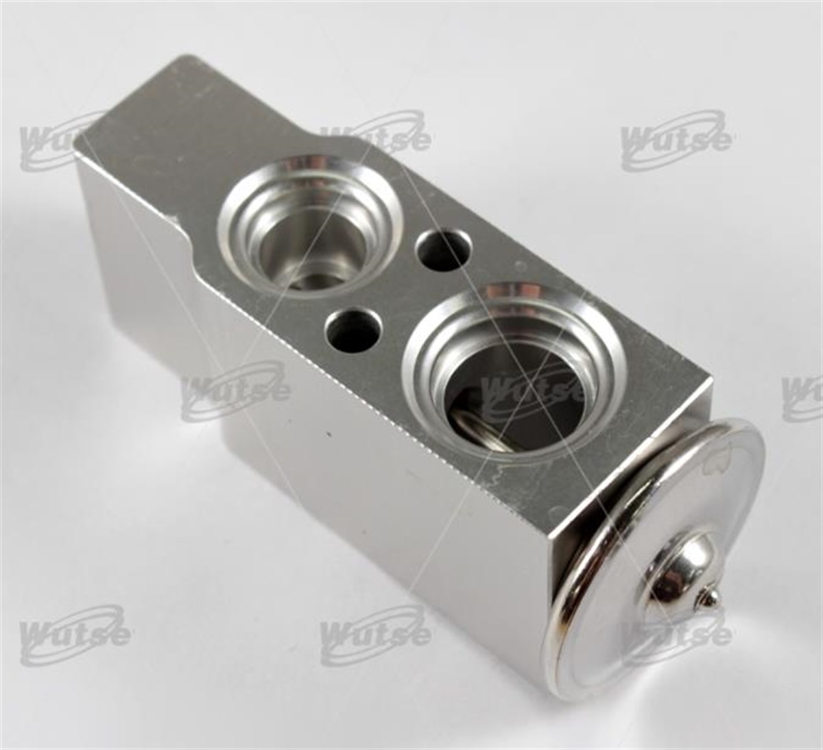 Expansion Valf Mercedes C Serisi Vito Sprinter Isuzu | Wutse 42050618