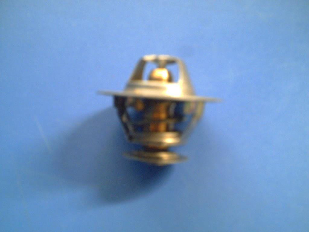 Termostat Fiat-new Holland :trm Termostat 79'derece 5088484 | Nh 87608577