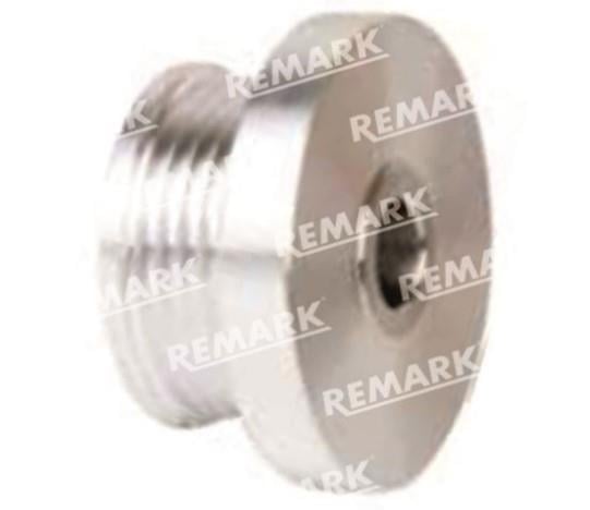 Alt.kasnağı 6kan (takozlu) Renault Kango Dacia 1.5 Symbol Sabit | Remark Aks172