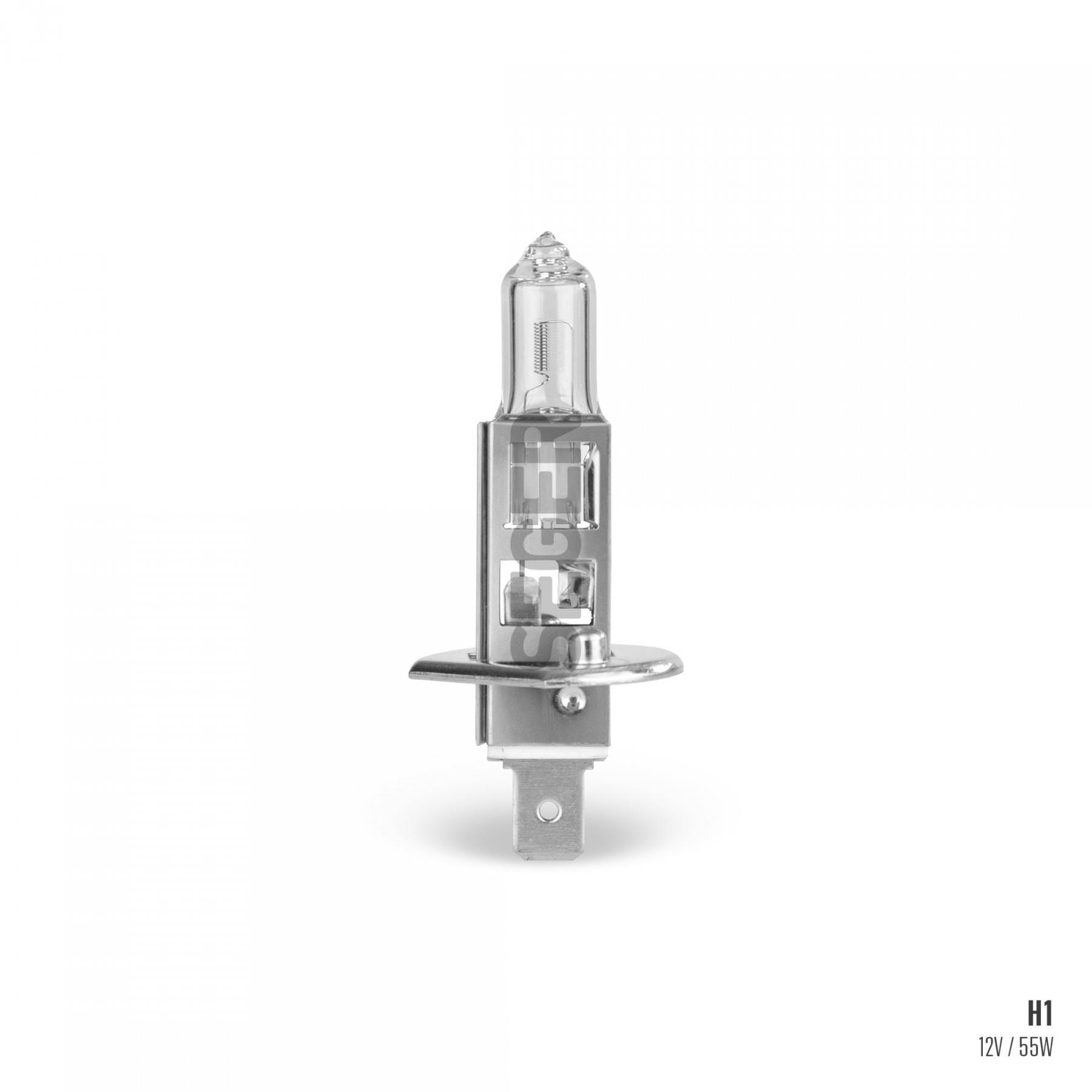 Ampul 12v 55w H1 | Seger 205771