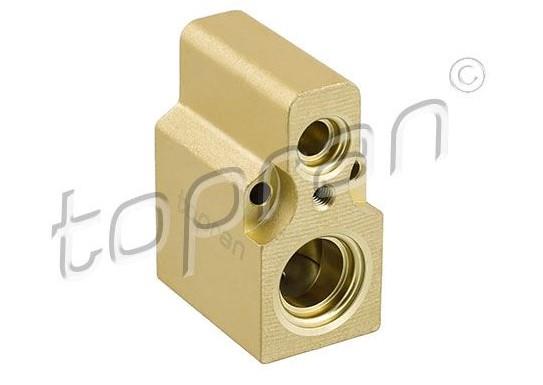 Expansion Valf Vw Golf Passat Caddy Vw Golf Iv Bora Megane I Audı A3 96-03 6n0820679a | Topran 108924001
