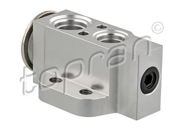 Expansion Valf Vw Golf 5 Vaddy Passat Audi A3 | Topran 112306001