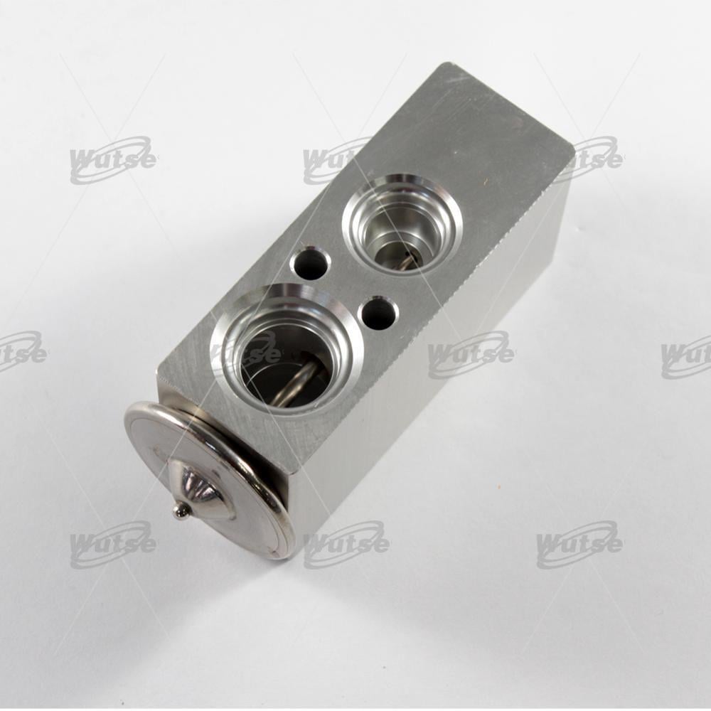 Expansion Valf Ford Focus 09- Renault Fluence | Wutse 42050704