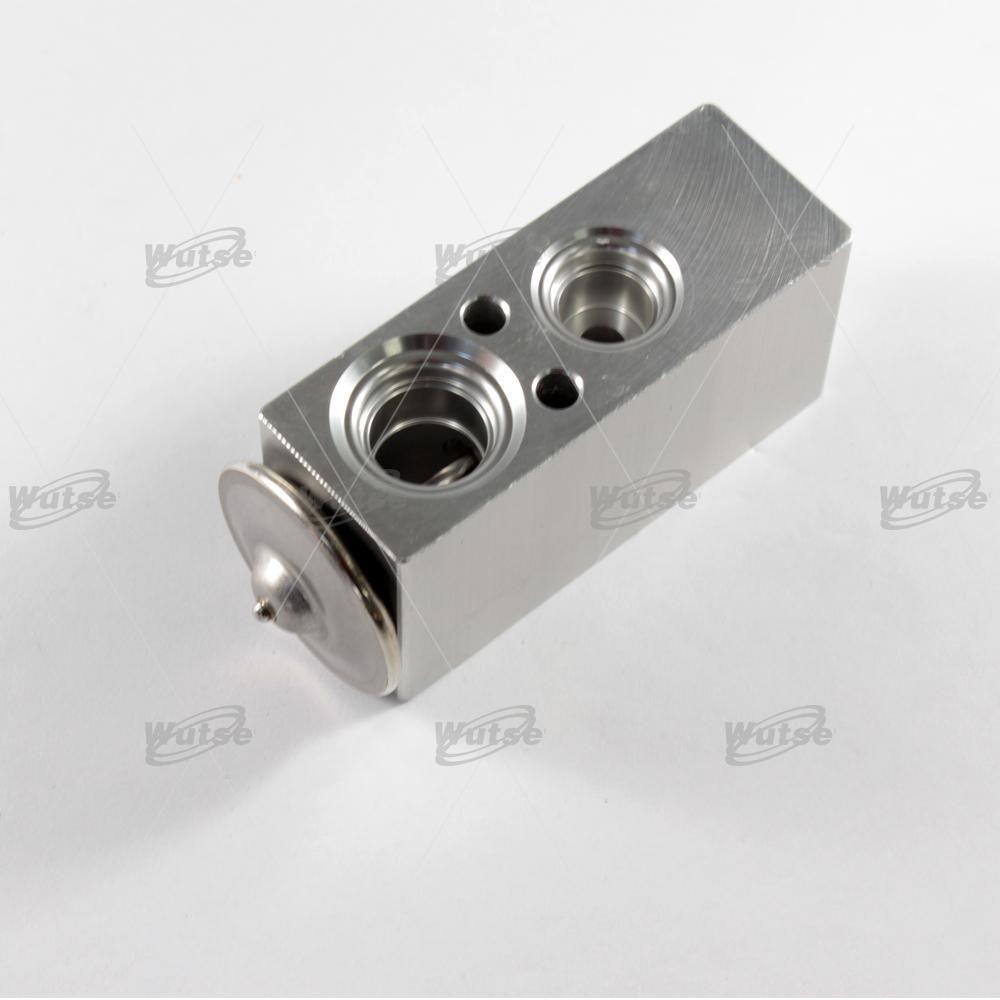 Expansion Valf Cıtroen Peugeot Renault Clio 4 Megan 4 Fluance Delikleri Dar | Wutse 42051035