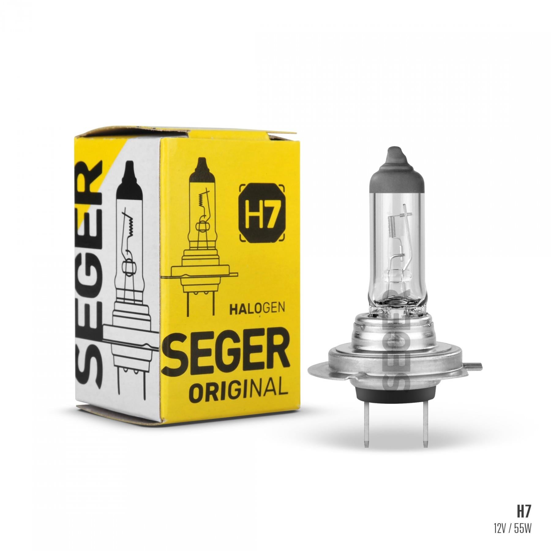 SEGER206648-Ampul Çeşitleri