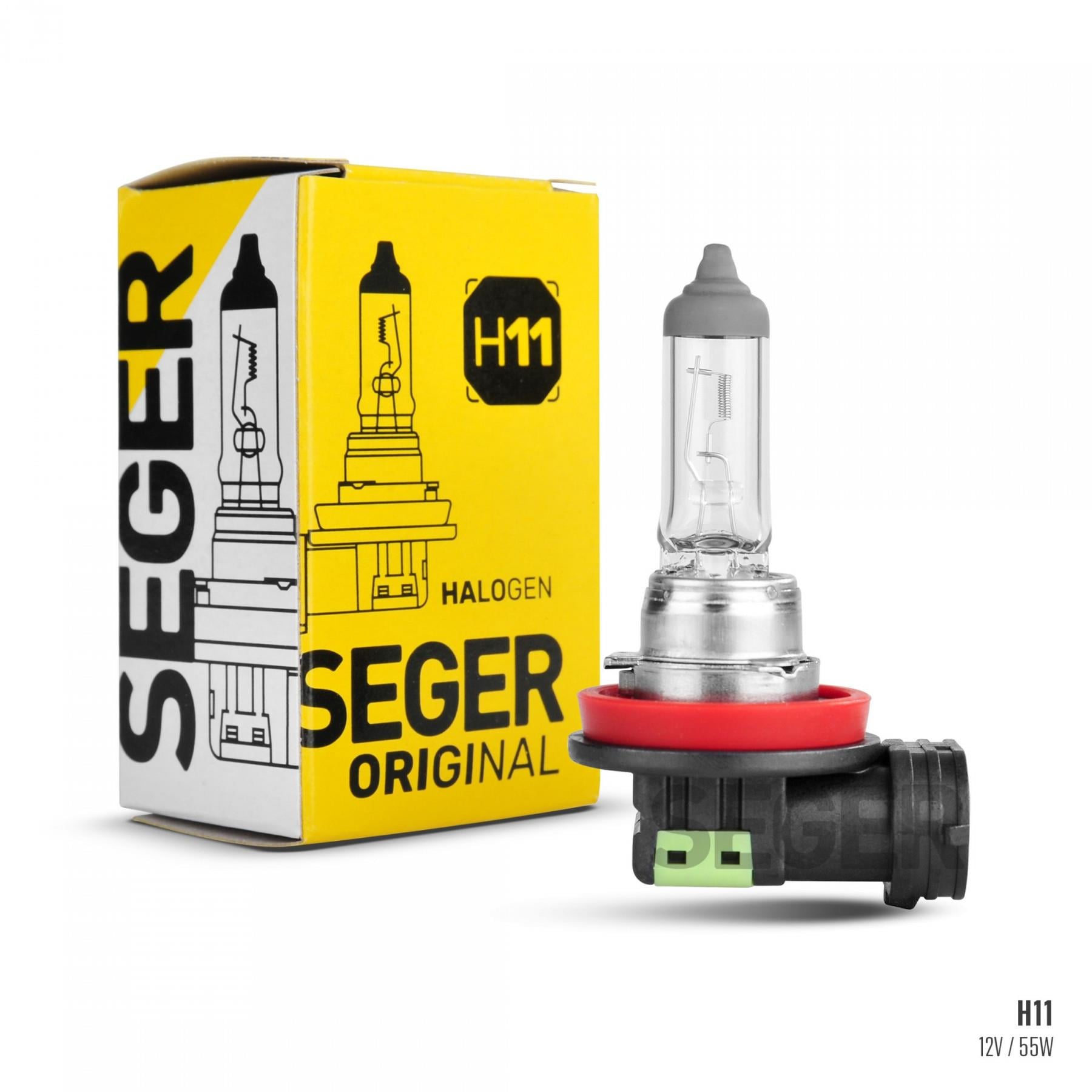 SEGER207218-Ampul Çeşitleri