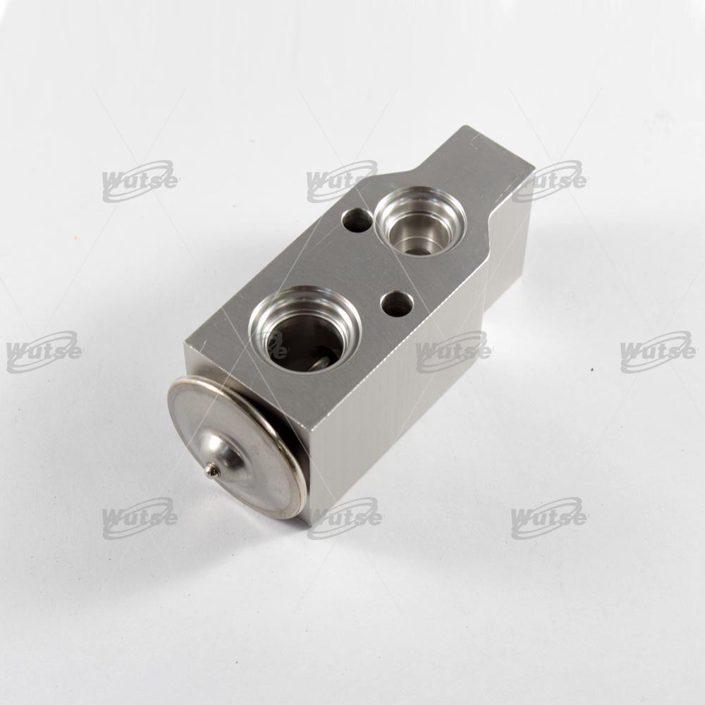 WUTSE42051029-Expansion Valf