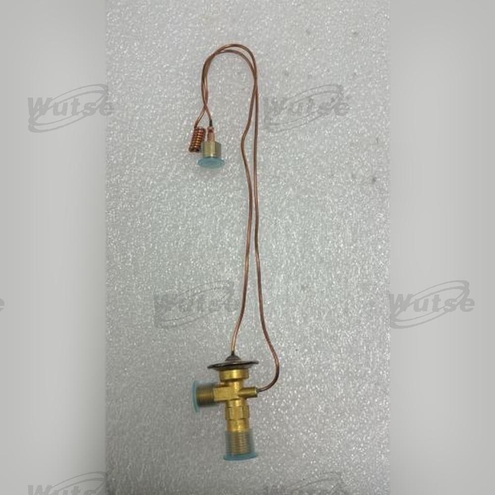 WUTSE42090081-Expansion Valf