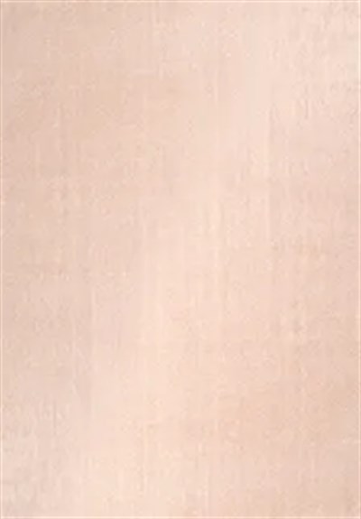 POLY Peluş Halı-Bej- Salon-Mutfak-Antre-Oturma Odası-Yumuşak-Kaymaz Taban-Yıkanabilir–Modern-Uygun Fiyat