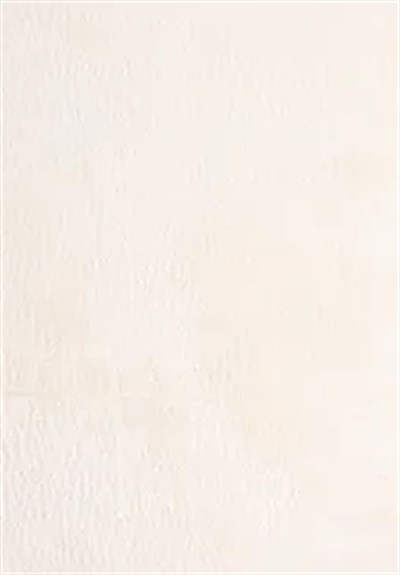 Tavşan Poly Peluş Halı -Beyaz- Yüksek Kalite-Ekstra Yumuşak - Kaymaz Özel Tabanlı - Özel Ölçü