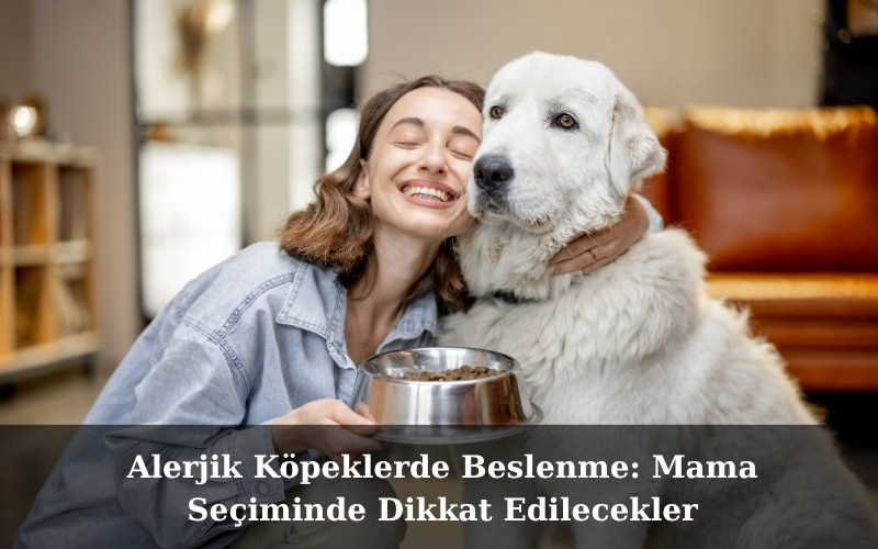 canivo pets, canivo, pet shop, köpek maması, alerjik köpek maması, gıda alerjisi köpeklerde, hassas köpek beslenmesi, tek proteinli köpek maması, tahılsız köpek maması, glutensiz köpek maması, hidrolize protein köpek maması, alerji dostu köpek mamaları, köpek beslenme ipuçları, köpek maması geçiş rehberi, alerjik köpekler için mama önerileri