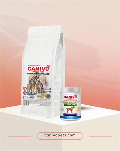 CANIVO Yetişkin Köpek Maması 15 KG + Canivo Flex Eklem ve Kalça Destekleyici