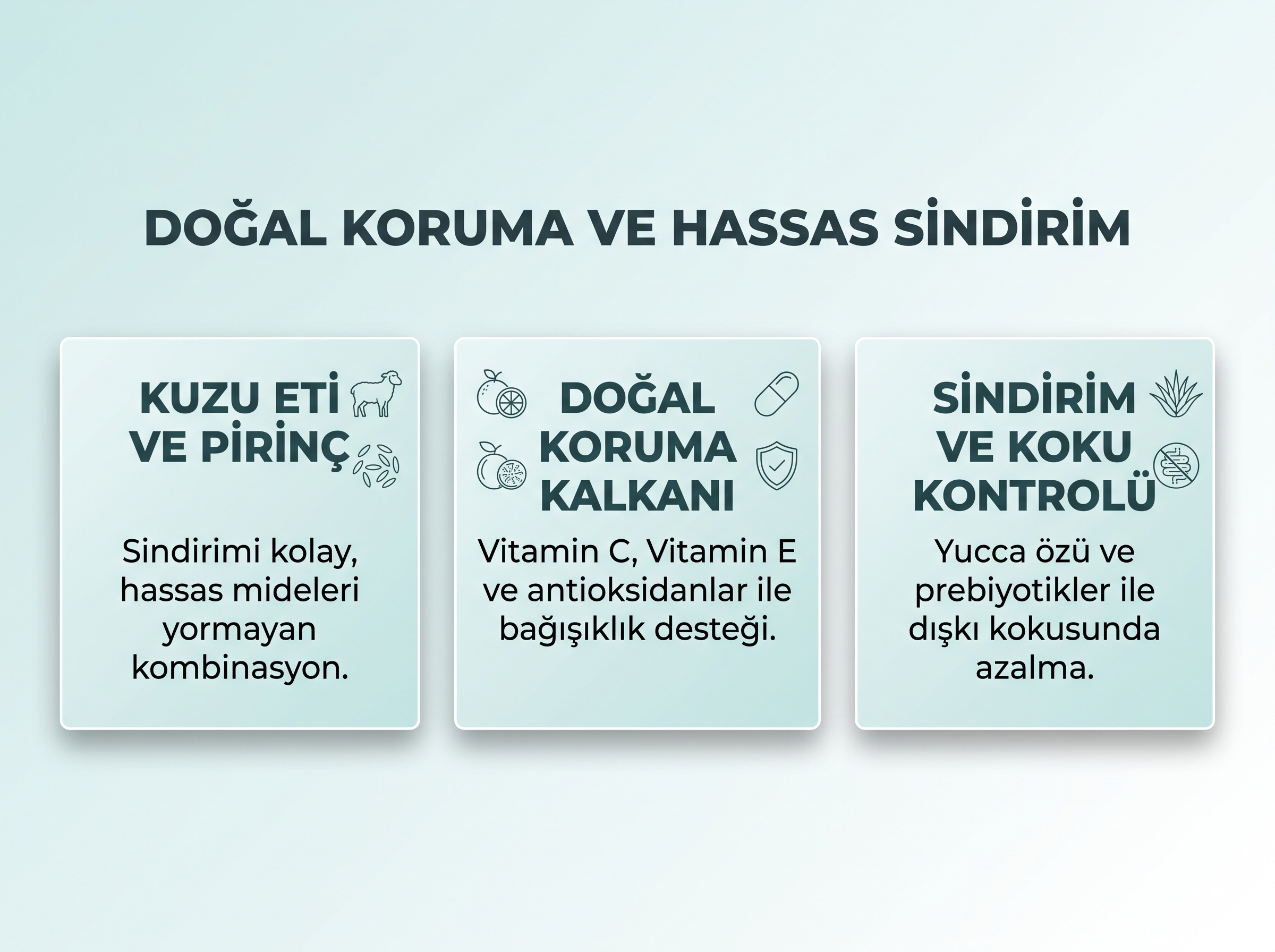 Sindirime ve Bağışıklığa Destek